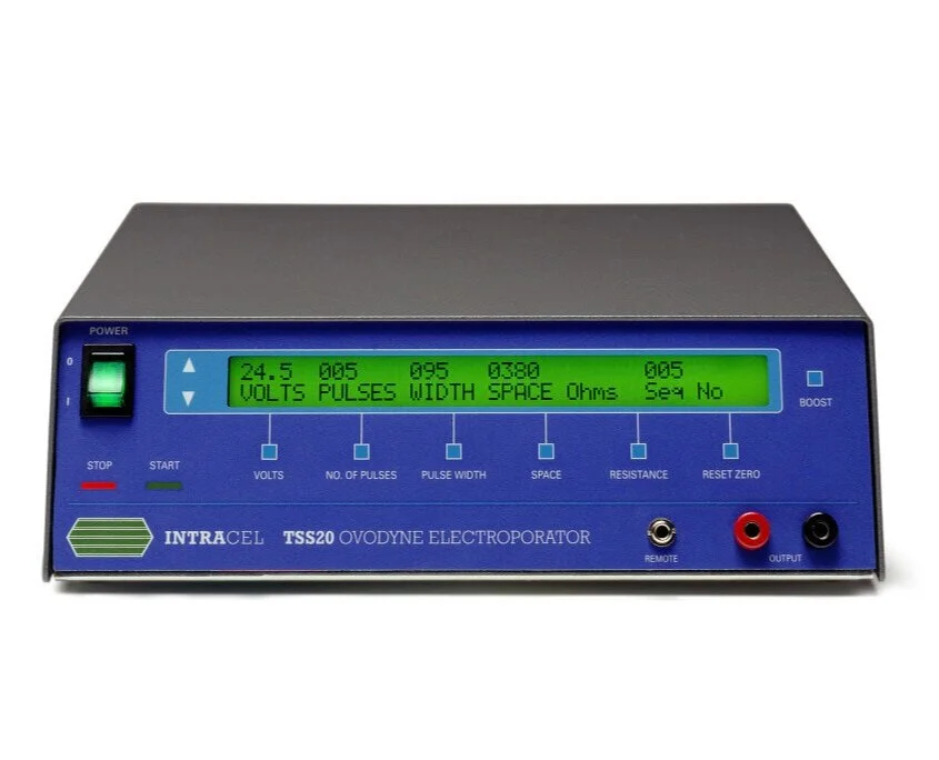 英国原装进口Intracel TSS20胚内电穿孔仪